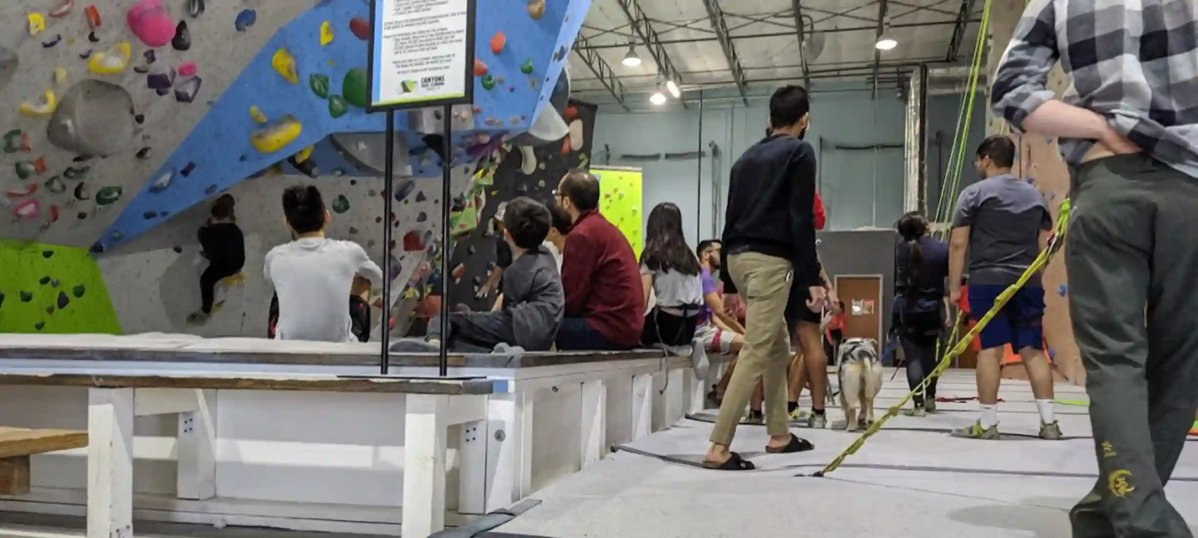 a Member Canyons Climbing Gym Membership Plans